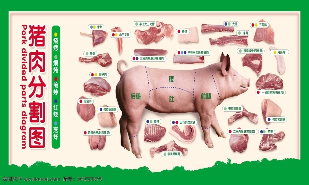 猪肉分割图 猪肉 寸骨 尾骨 腱子肉 展板模板