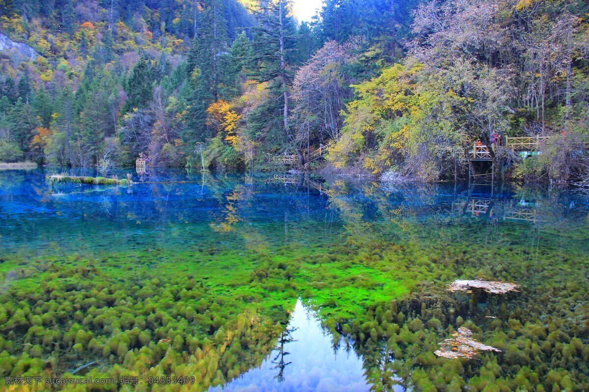 九寨沟 九寨沟风光 九寨沟风景 四川九寨沟 山水 九寨沟风情 九寨沟黄龙 黄龙景区 四川黄龙 山水风光 九寨沟之旅 自然景观 风景名胜