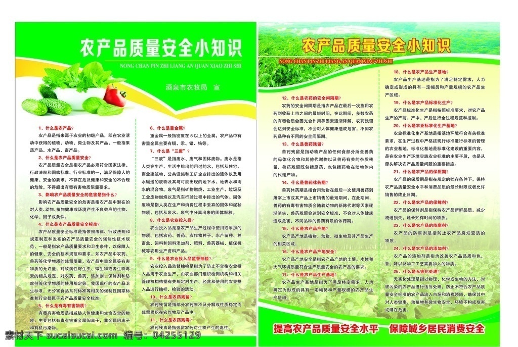 农产品 质量安全 绿色 蔬菜 黄瓜 西红柿 景色 菜地 dm宣传单