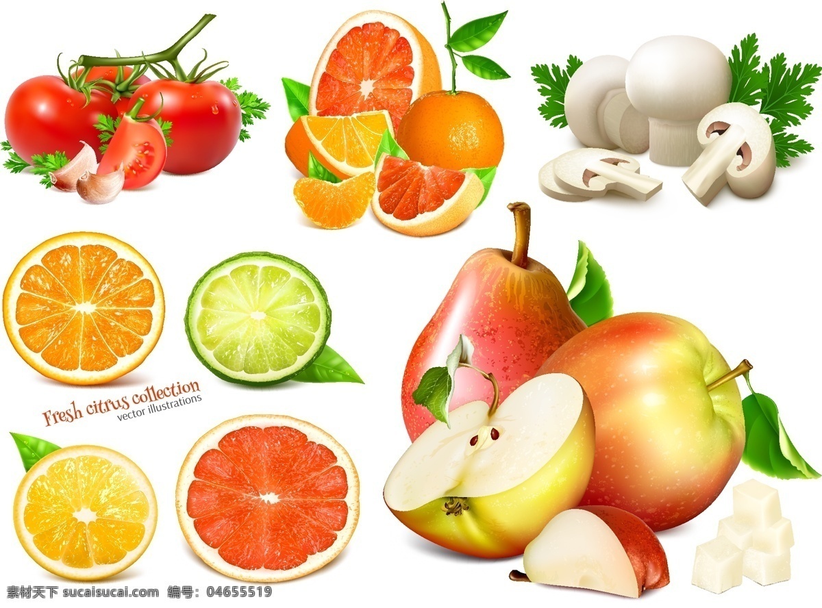 水果 蔬菜 适量 文件 蔬菜水果 苹果适量 西红柿 橘子 橙子 柠檬 适量文件