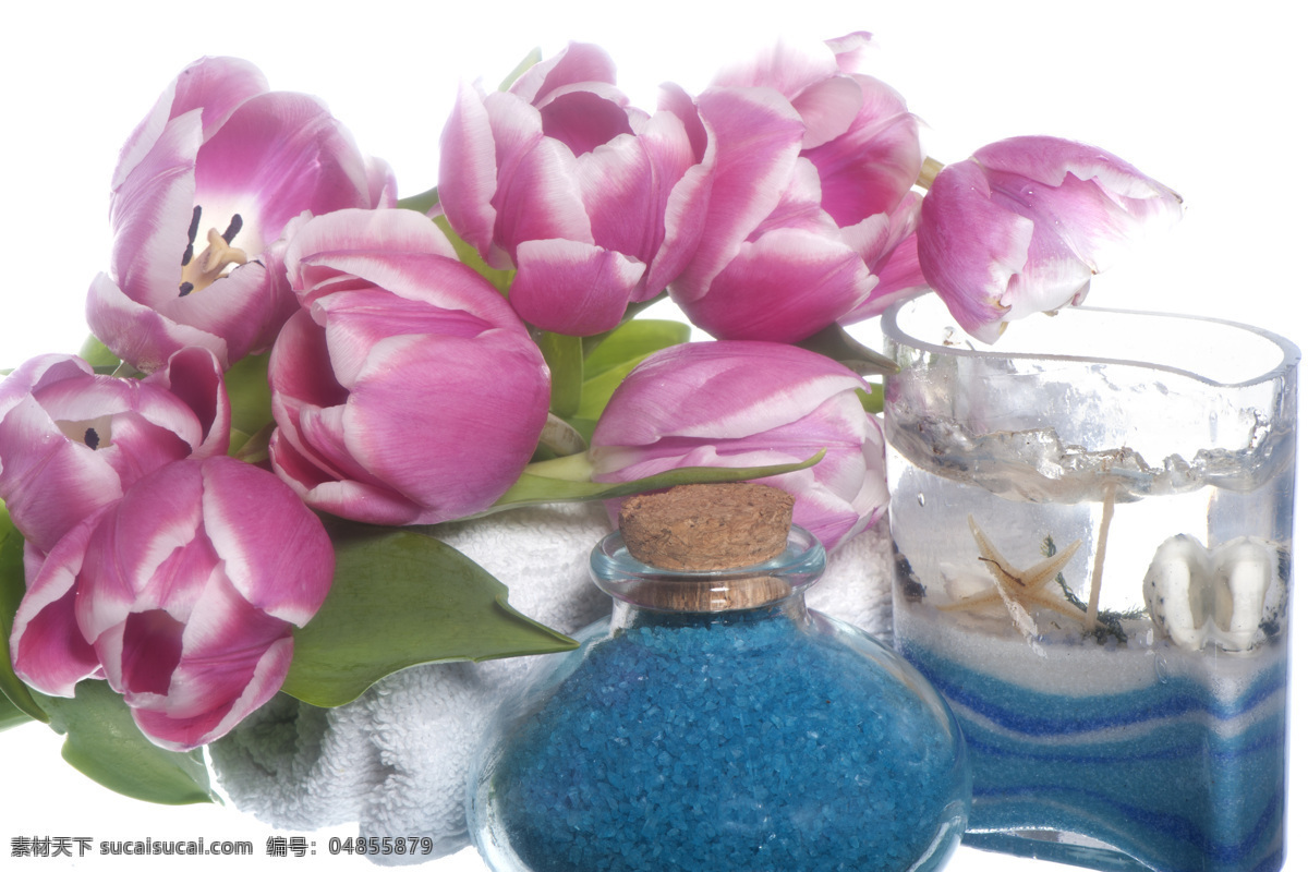 鲜花 spa 意义 花朵 毛巾 美容 化妆 化妆品 化妆品摄影 其他类别 生活百科