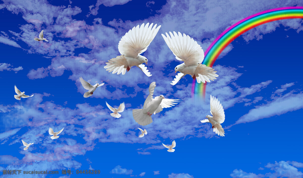 和平鸽 蓝天 白云 彩虹 风景 鸟类 生物世界