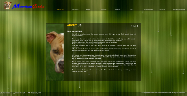 野生动物 网页动画 模板 网页设计 网站 动画 动画网页模板 网页素材 flash