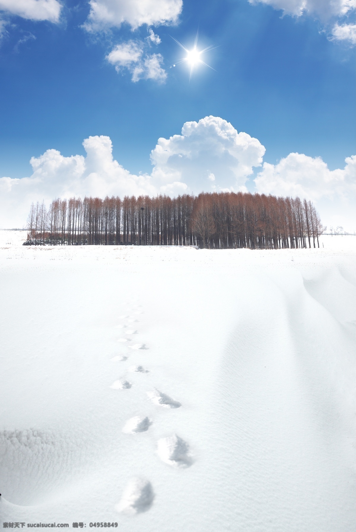 雪地 雪白 天空 脚印 影骑 韩国 实用 分层 源文件 psd源文件 白色