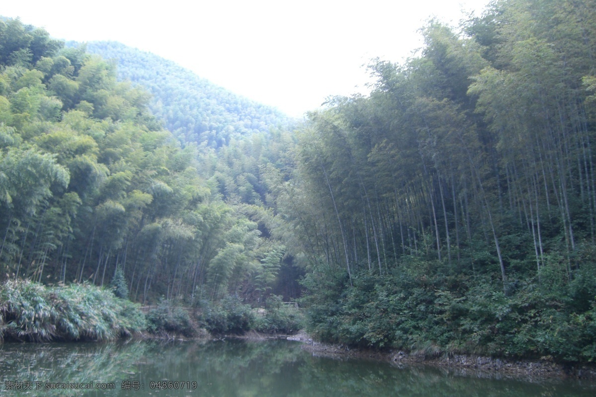 木 坑 竹海 安徽 草丛 河流 竹林 自然风景 自然景观 木坑竹海 矢量图 日常生活