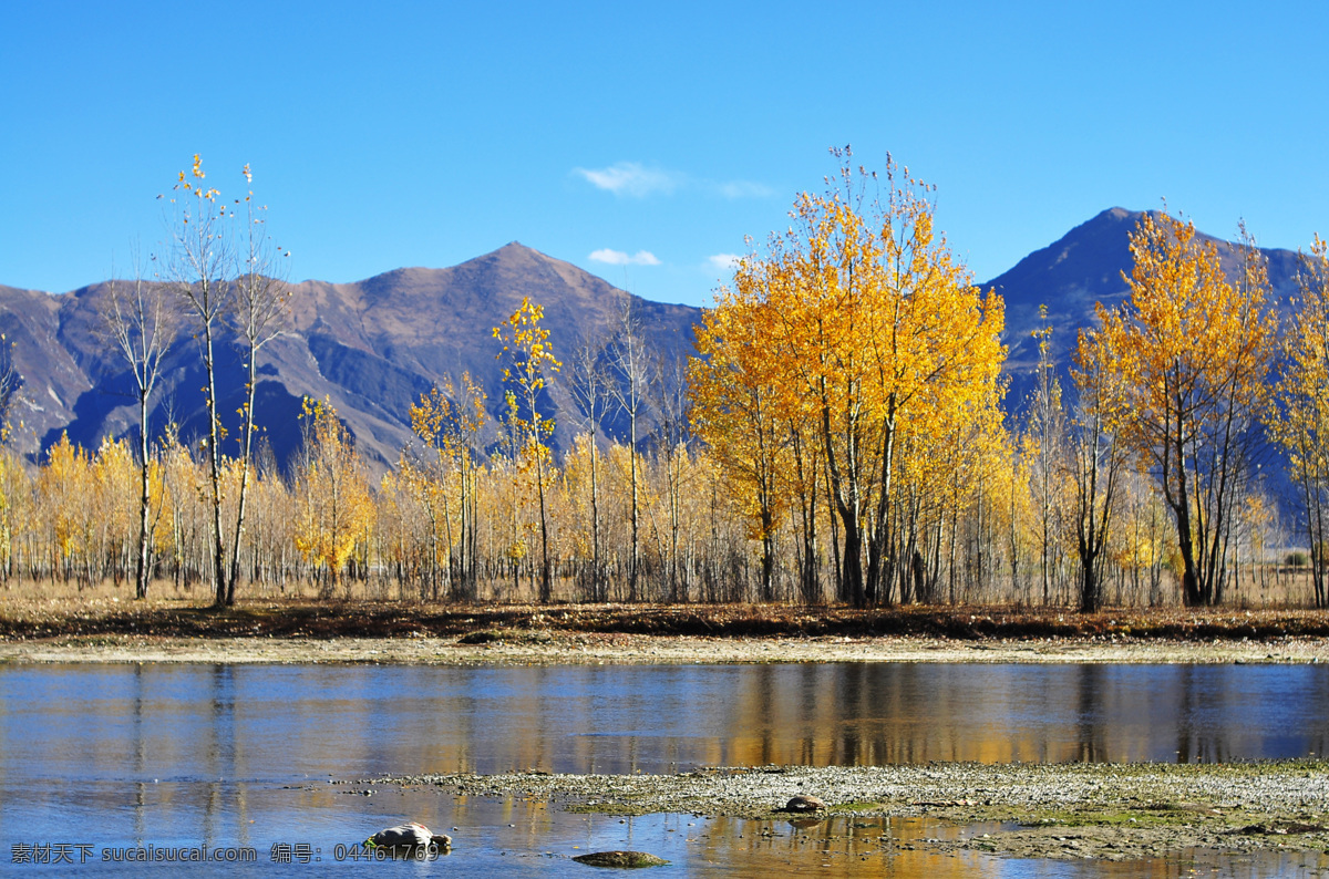 拉萨河风光 拉萨河 彩林 树 高原植物 河流 河水 倒影 高山 青藏高原 蓝天 自然景观 自然风景 青色 天蓝色