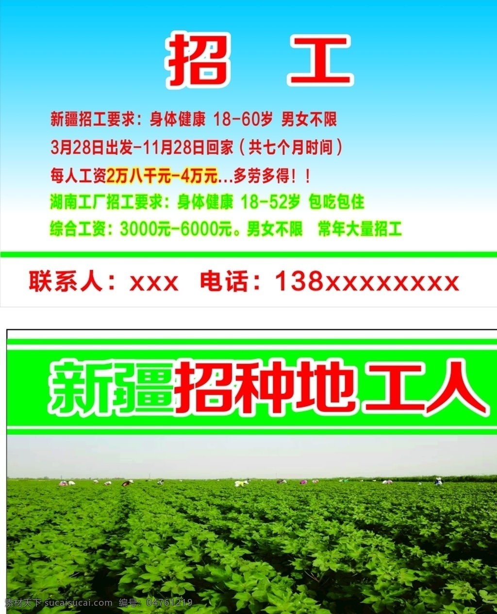 新疆 摘 棉花 招工 名片 新疆摘棉花 青色名片 绿色名片 招工名片 新疆招工名片 名片卡片