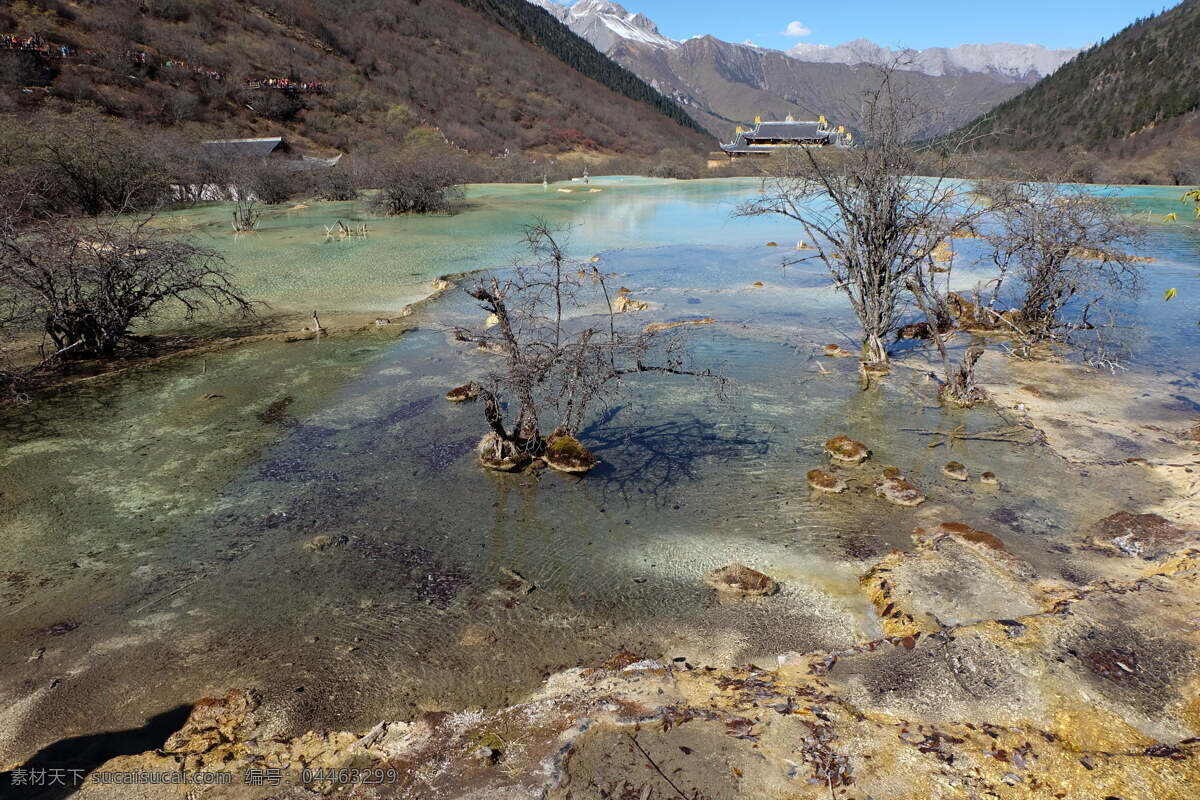 九寨沟 九寨沟风景 九寨沟景观 风景 高清 自然风景 高清风景 风光 自然风光 景观 自然景观 高清山水 山水风景 树木 四川 旅游摄影 国内旅游