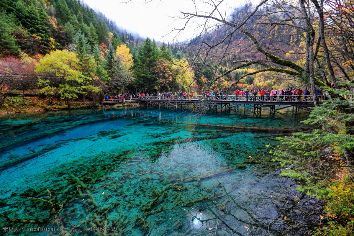 九寨沟五花海 四川 秋天美景 倒影 湖水 清澈 黄叶 海子 九寨精华 五花海 九寨沟 风景名胜 山水旅游摄影 国内旅游 旅游摄影