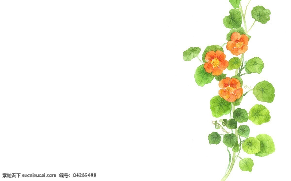 无名 花 水彩 插图 绿色 植物 艺术 画 壁纸 墙纸 背景 红花 花的故事 生物世界 花草