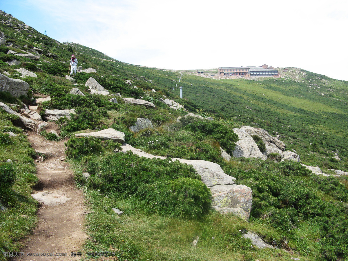 五台山西台 五台山 西台 灌木丛 山间小路 旅行 旅游摄影 自然风景 白色