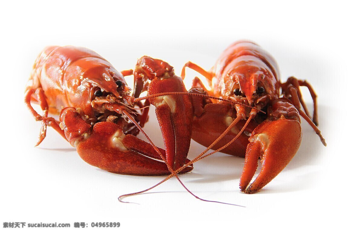 超级大龙虾 龙虾 小龙虾 大虾 红红的大虾 威猛大虾 餐饮美食