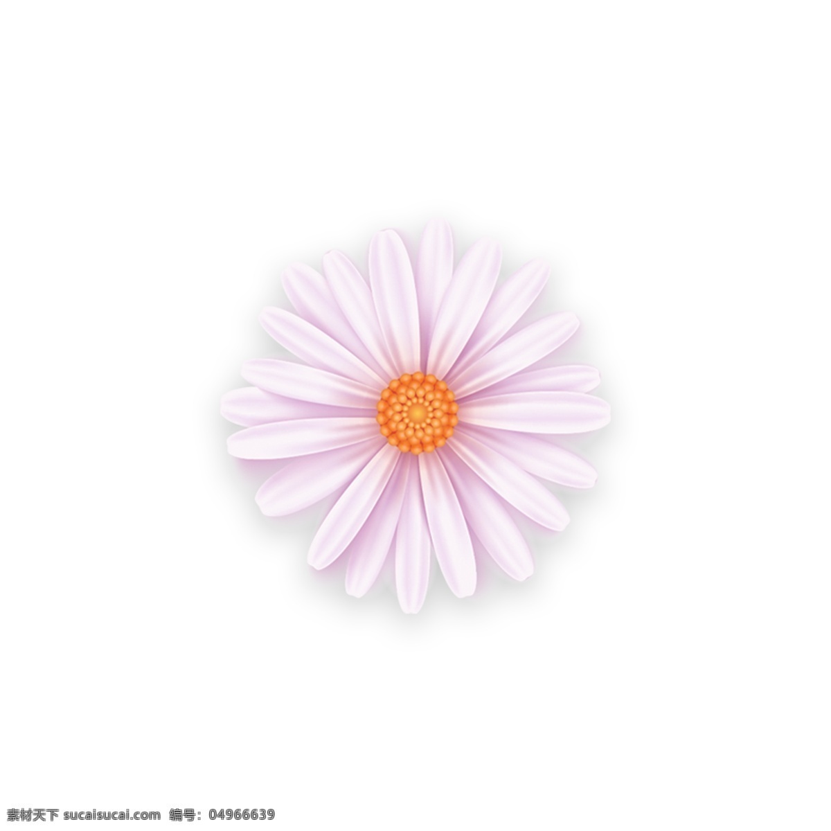 花 浅 粉色 装饰 元素 装饰图案 免抠 粉色系 浅粉色 花朵 简约