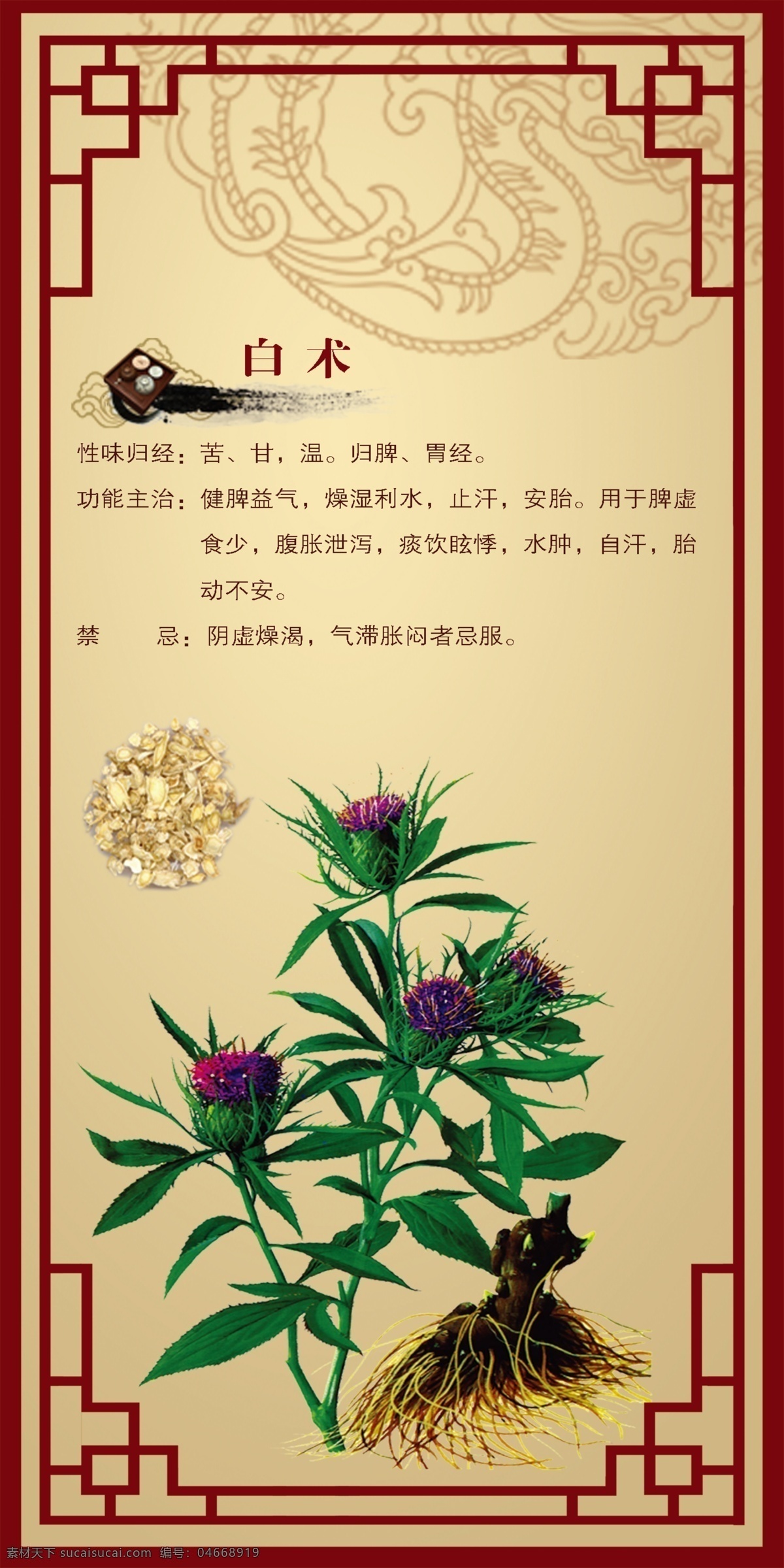 白术 中草药 中国风 草药 中药 展板模板 广告设计模板 源文件