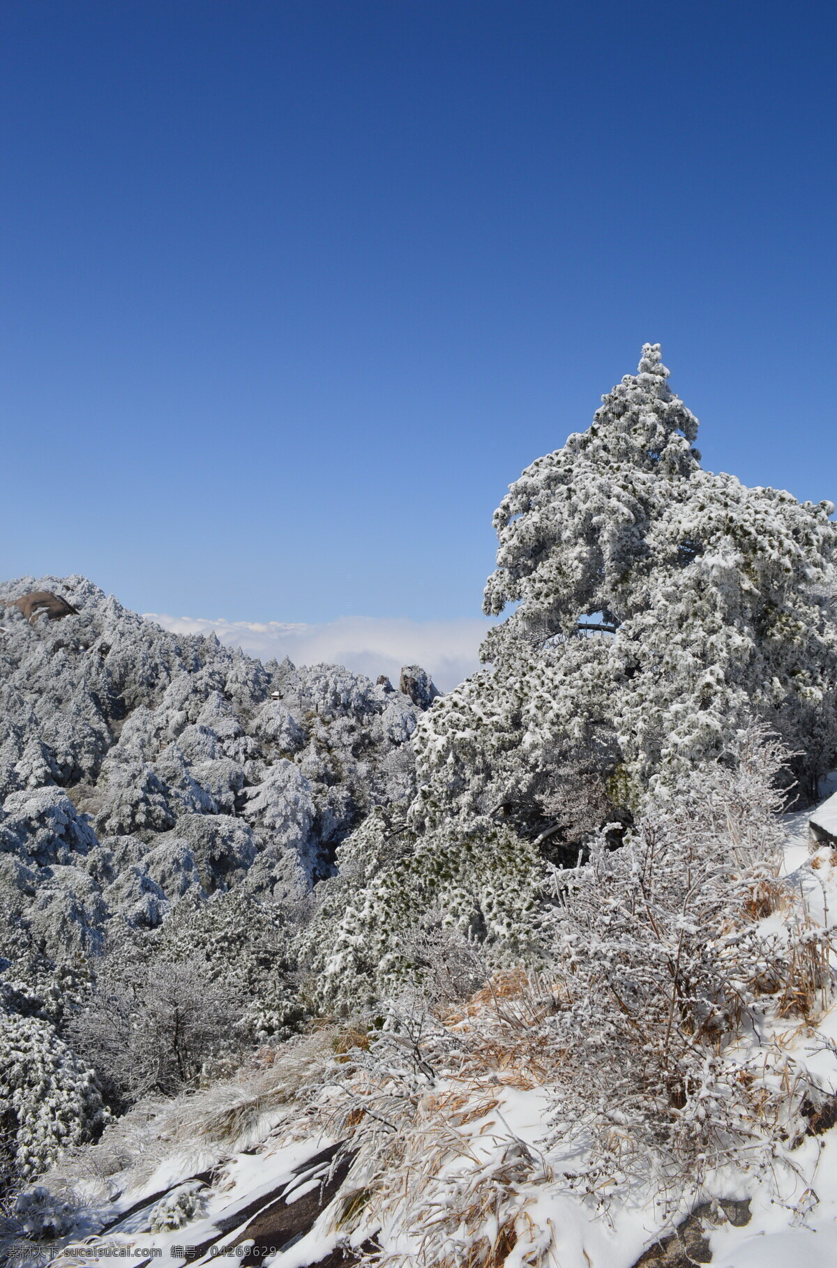 冬天美景 最美景观 风景优美 明媚风光 白雪 树木 蓝天 三清山 自然景观 自然风景