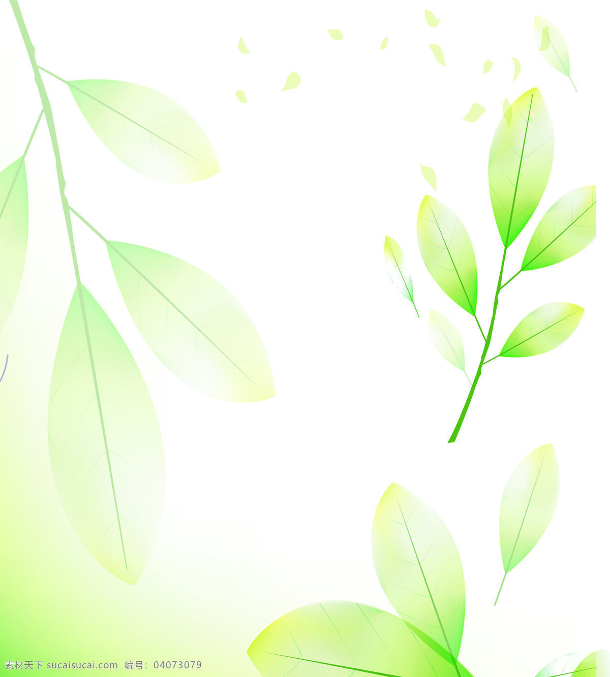 帝 歌 移门 绿色树叶 超清大图 装饰素材