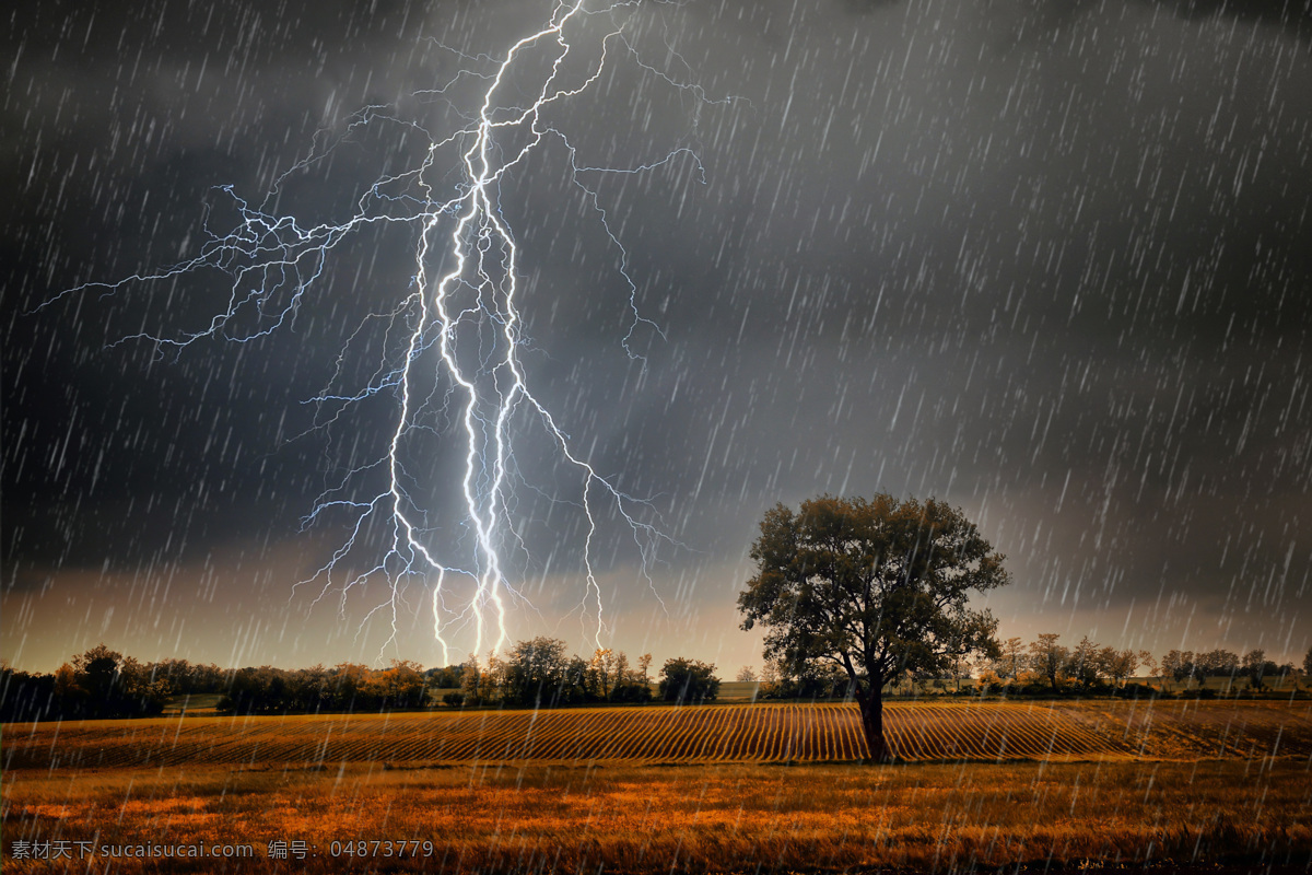 雷电下雨图 雷电 树木 平原 雨 环境 自然景观 自然风景