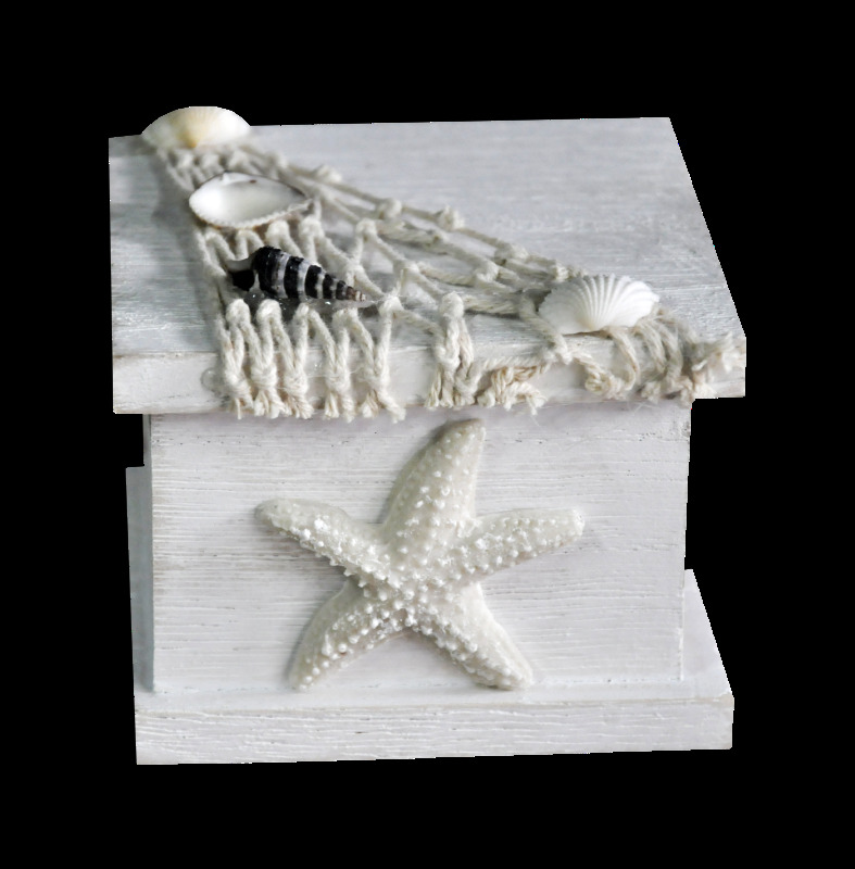白色 海星 装 饰盒 实物花边相框 花边 实物 花草 生物世界 海洋风 贝壳 鱼 产品实物 生物 彩色素材 png元素 png实物图