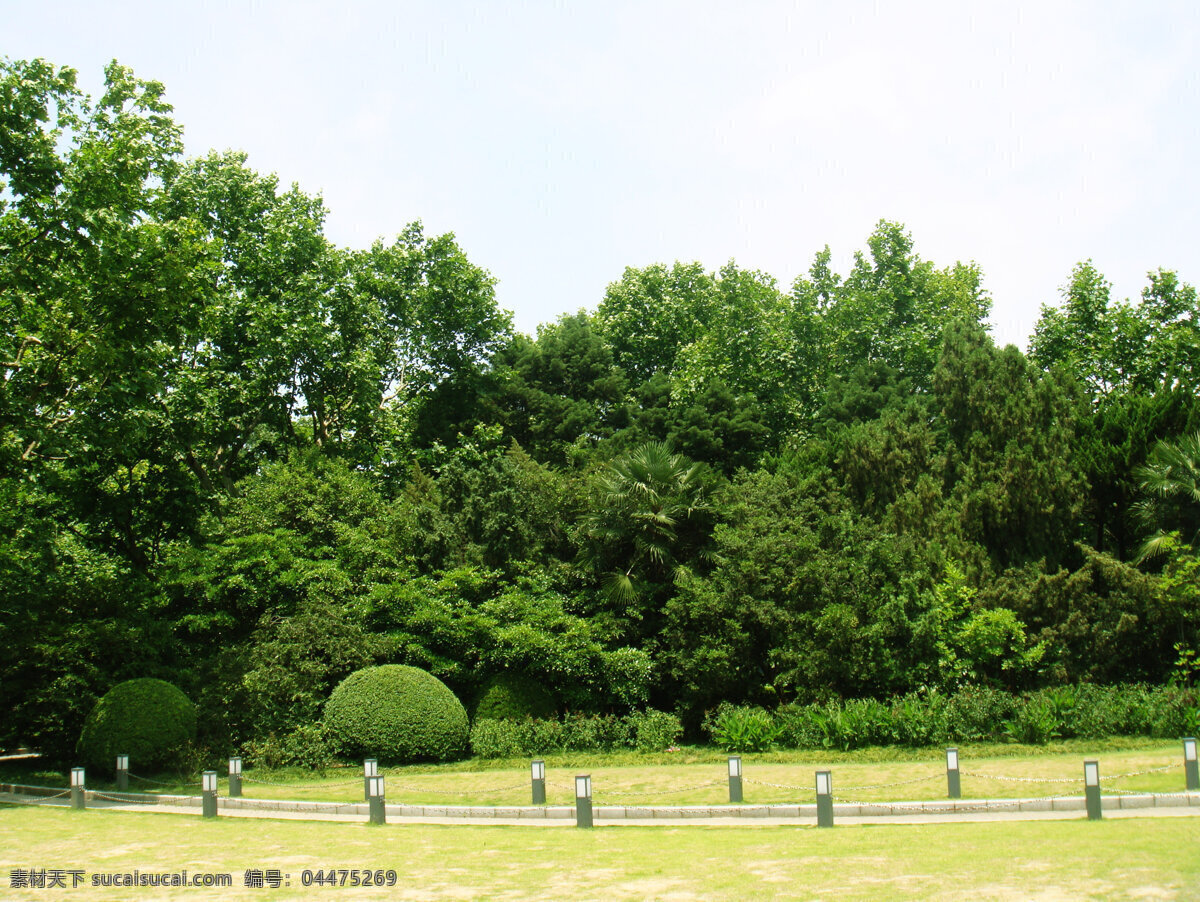 公园风景 公园 树木 绿叶 草地 围栏 自然风景 自然景观
