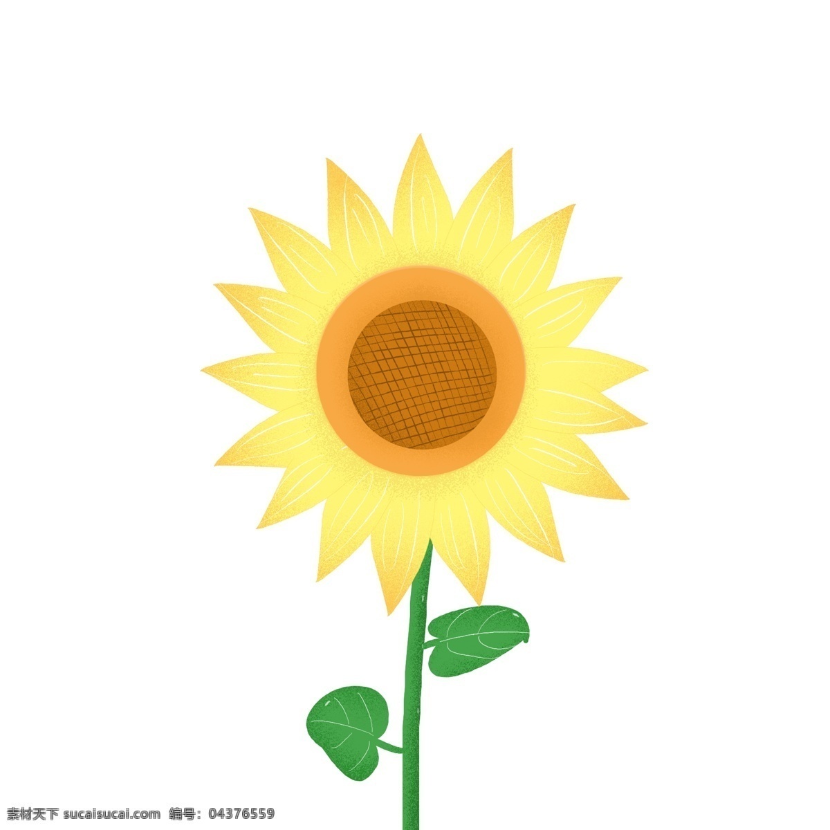 手绘 可爱 清新 阳光 向日葵 装饰 元素 花朵 花卉 绿叶 装饰元素 花 葵花