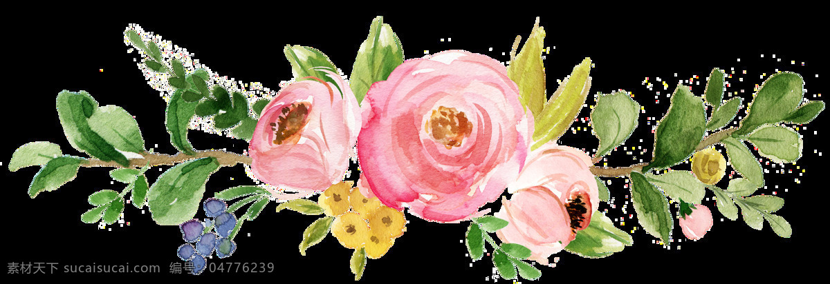 怒放 玫瑰花 卡通 透明 装饰 设计素材 背景素材