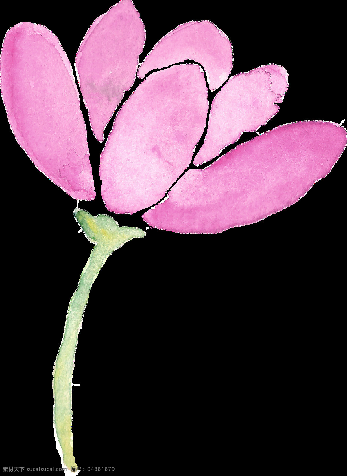 粉红 莲花 卡通 透明 装饰 花叶 树叶 透明素材 免扣素材 装饰图案