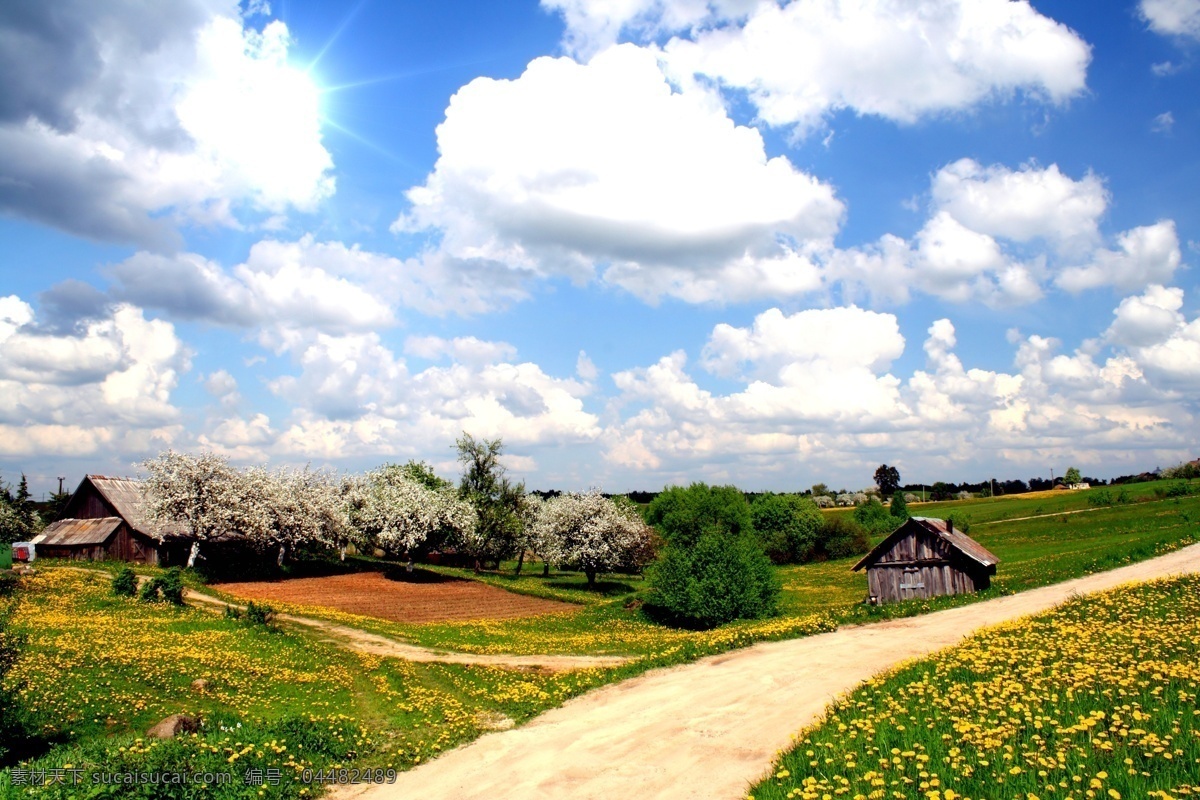 乡间 风景摄影 自然 风景 户外 美境 鲜花 花朵 野花 天空 一望无垠 乡村风景 乡间小路 房子 花草树木 自然景色 自然风景 山水风景 风景图片