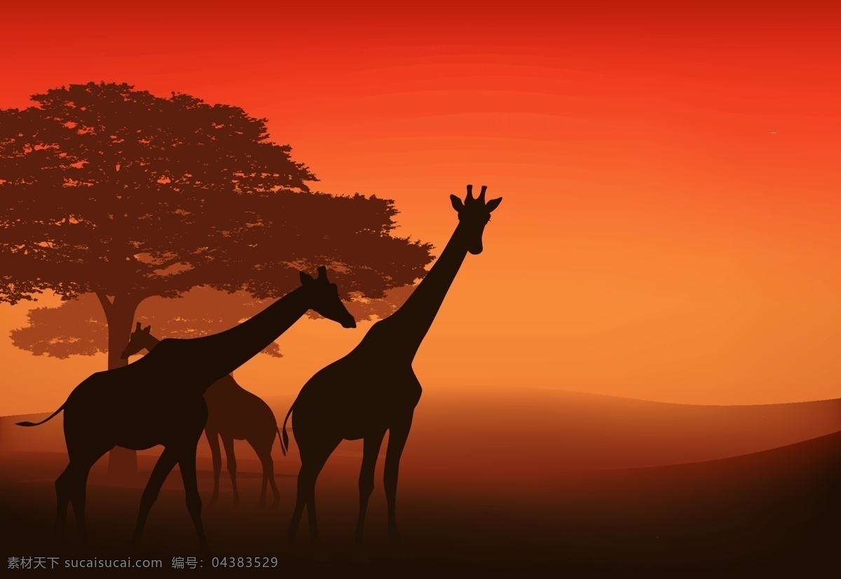 非洲 草原 上 动物 插画 夕阳 落日 大树 长颈鹿