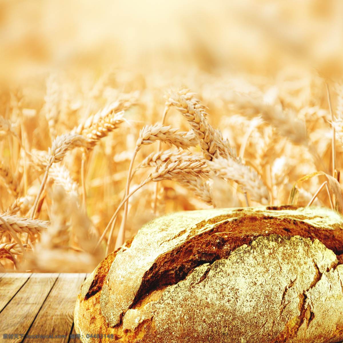 麦子与面包 麦子 麦穗 全麦面包 面包 美味 美食 水果蔬菜 餐饮美食 黄色