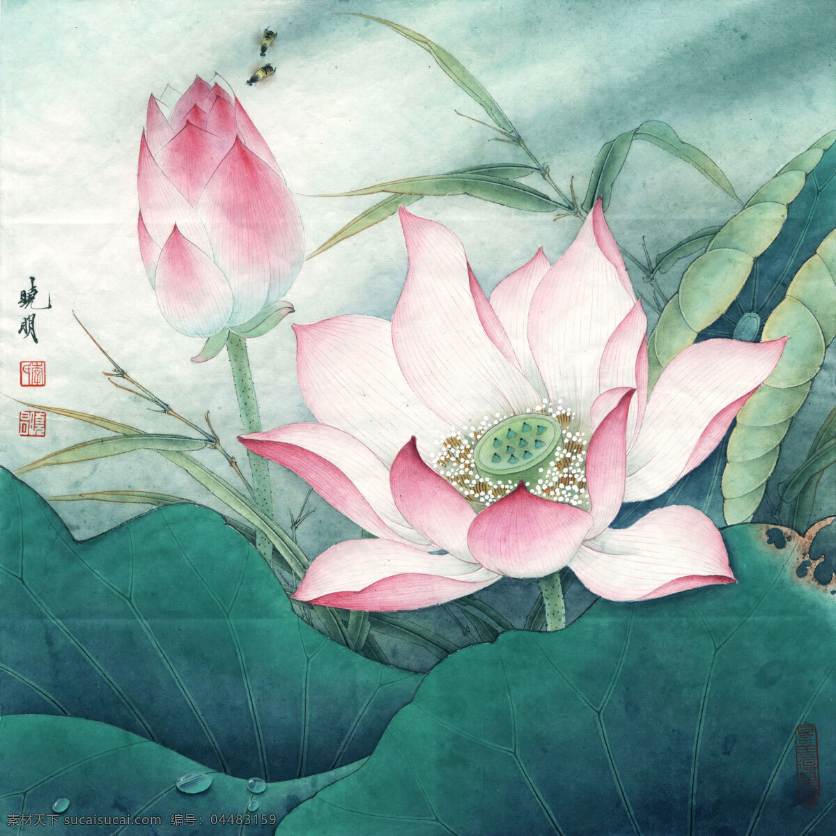 水上芙蓉3 花鸟画 设计素材 花鸟画篇 中国画篇 书画美术 白色