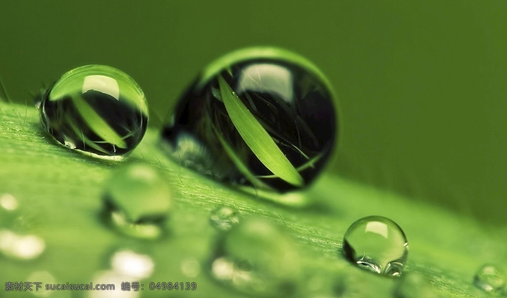 水珠 水滴 下雨 水 颗粒 液体 流动 自然景观 自然风景