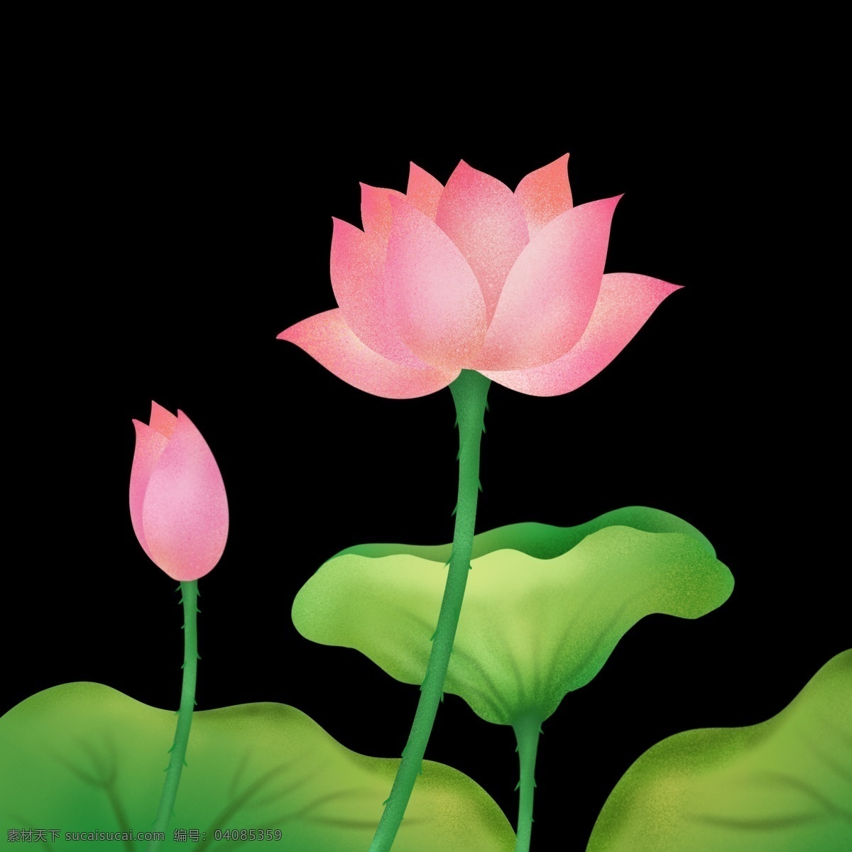 夏季 荷花 花朵 免 抠 图 夏日荷塘 季节 节日 粉色荷花 手绘花朵 绿色荷叶 夏日海报 中国风海报