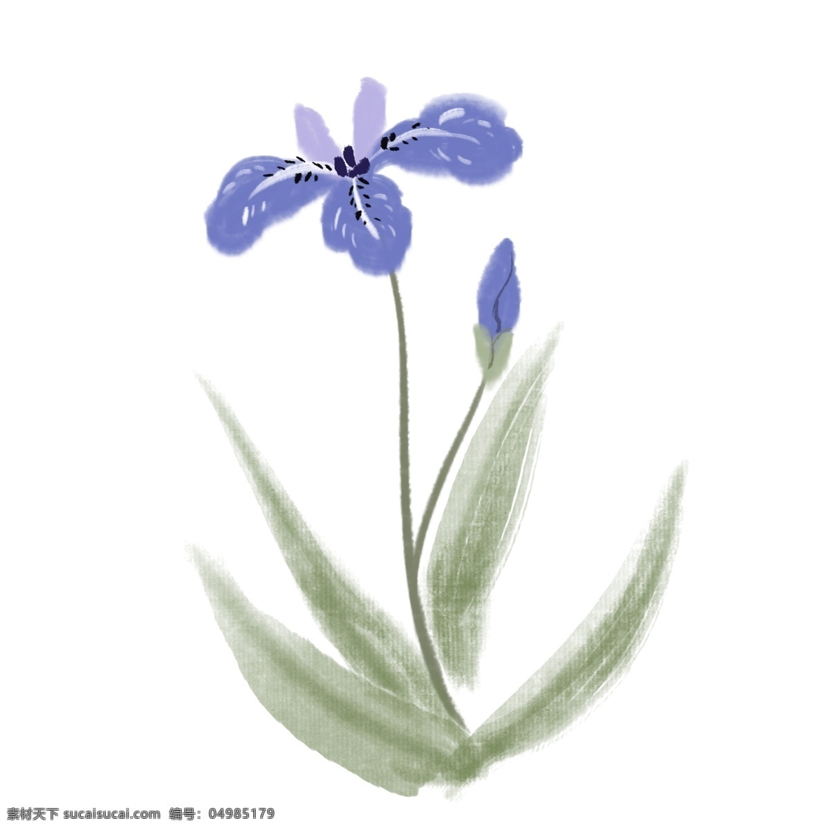 蓝色花朵植物 植物 花朵 蓝色