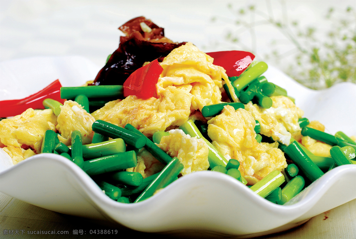 蒜苔炒鸡蛋 美食 传统美食 餐饮美食 高清菜谱用图