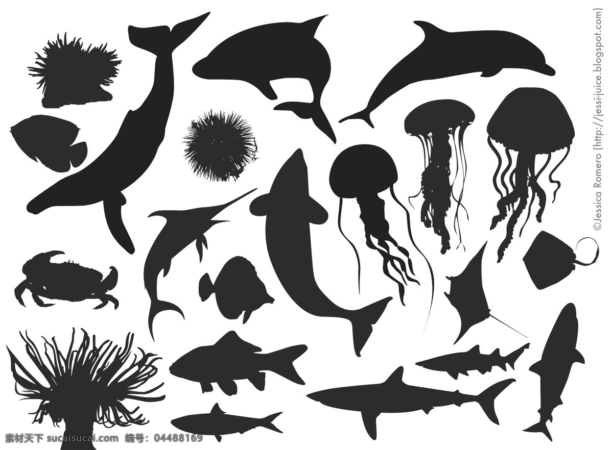 大海生物集锦 大海 水母 鲨鱼 鲸鱼