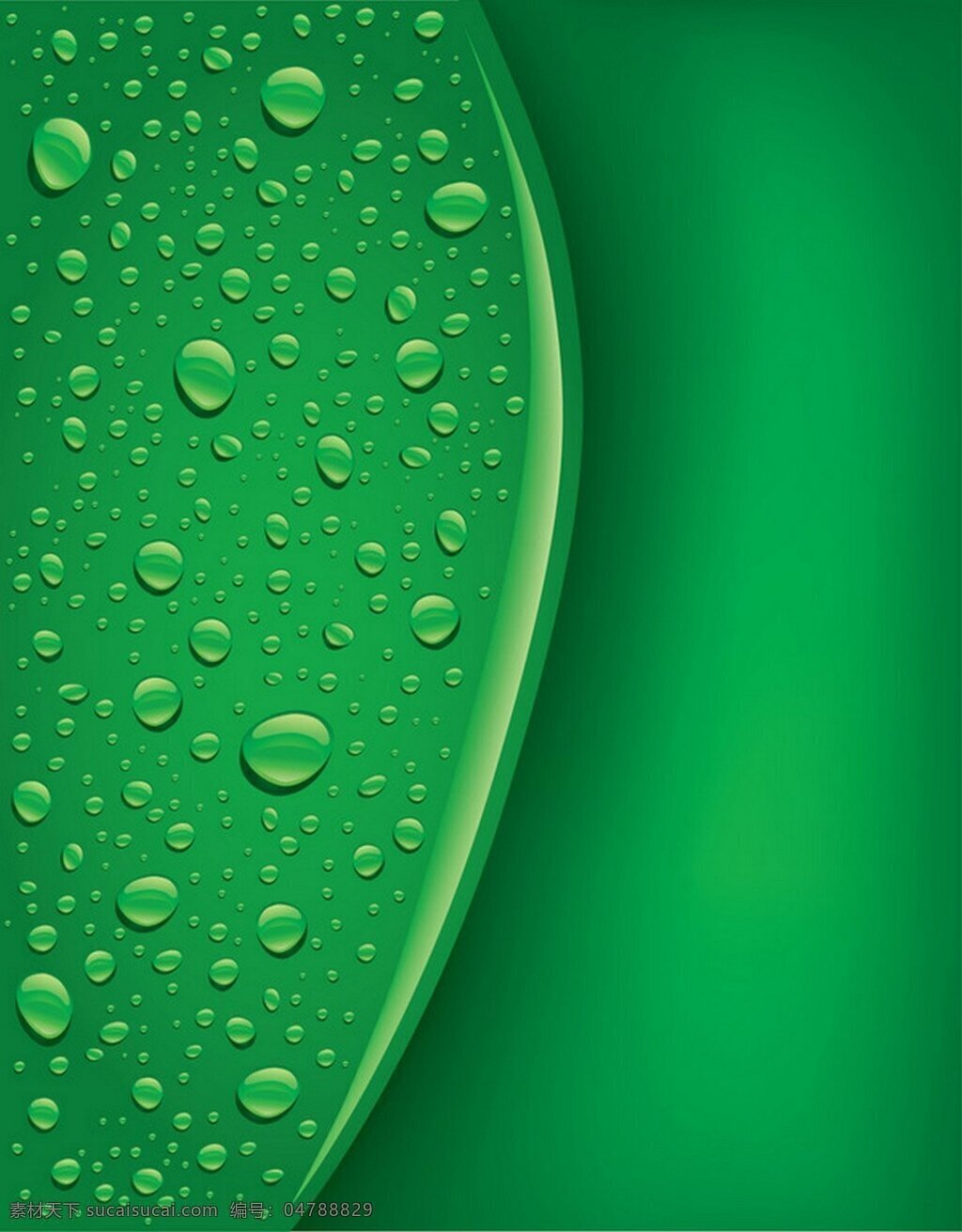 绿色 水珠 背景 绿色背景 叶子 矢量素材