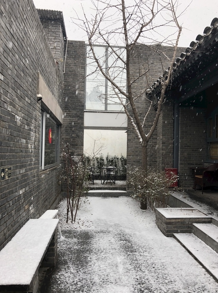 四合院的雪 四合院 新中式风格 北京 小院子 雪 冬天 树 旅游摄影 国内旅游