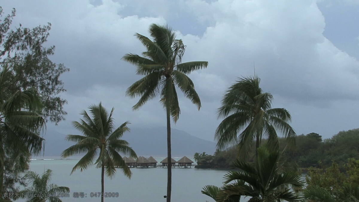 塔希提 云和 手掌 股票 视频 法属波利尼西亚 岛 热带 云 棕榈树 树 海 水 提基 小屋 avi 灰色