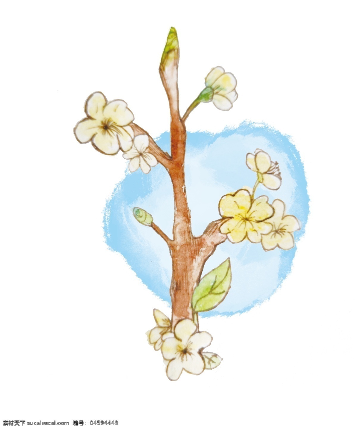 二十四节气 春分 手绘 节气 水彩 黄色花朵 绿叶 水墨 中国风 插画花朵 唯美 清新 水彩花朵 原创