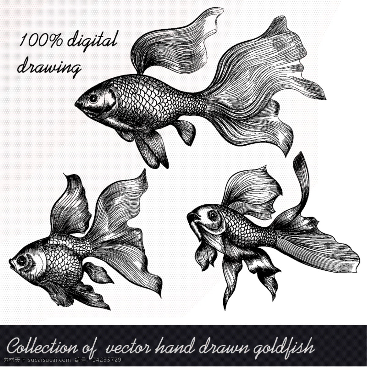 手绘金鱼集 一方面 海 鱼 动物 手绘 取材 收集 集 金鱼 海洋生物