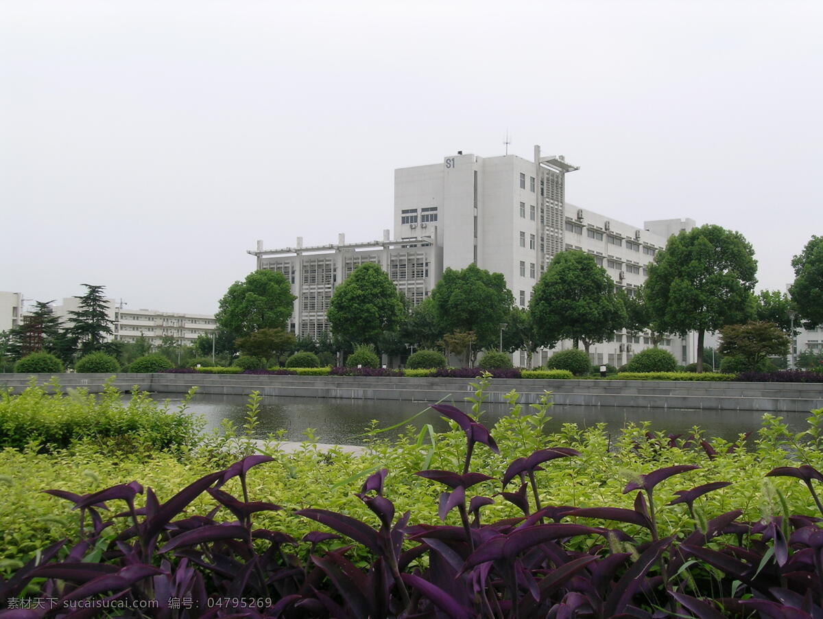 校园景色特写 南京师范大学 建筑 场景 阴天 建筑园林 建筑摄影