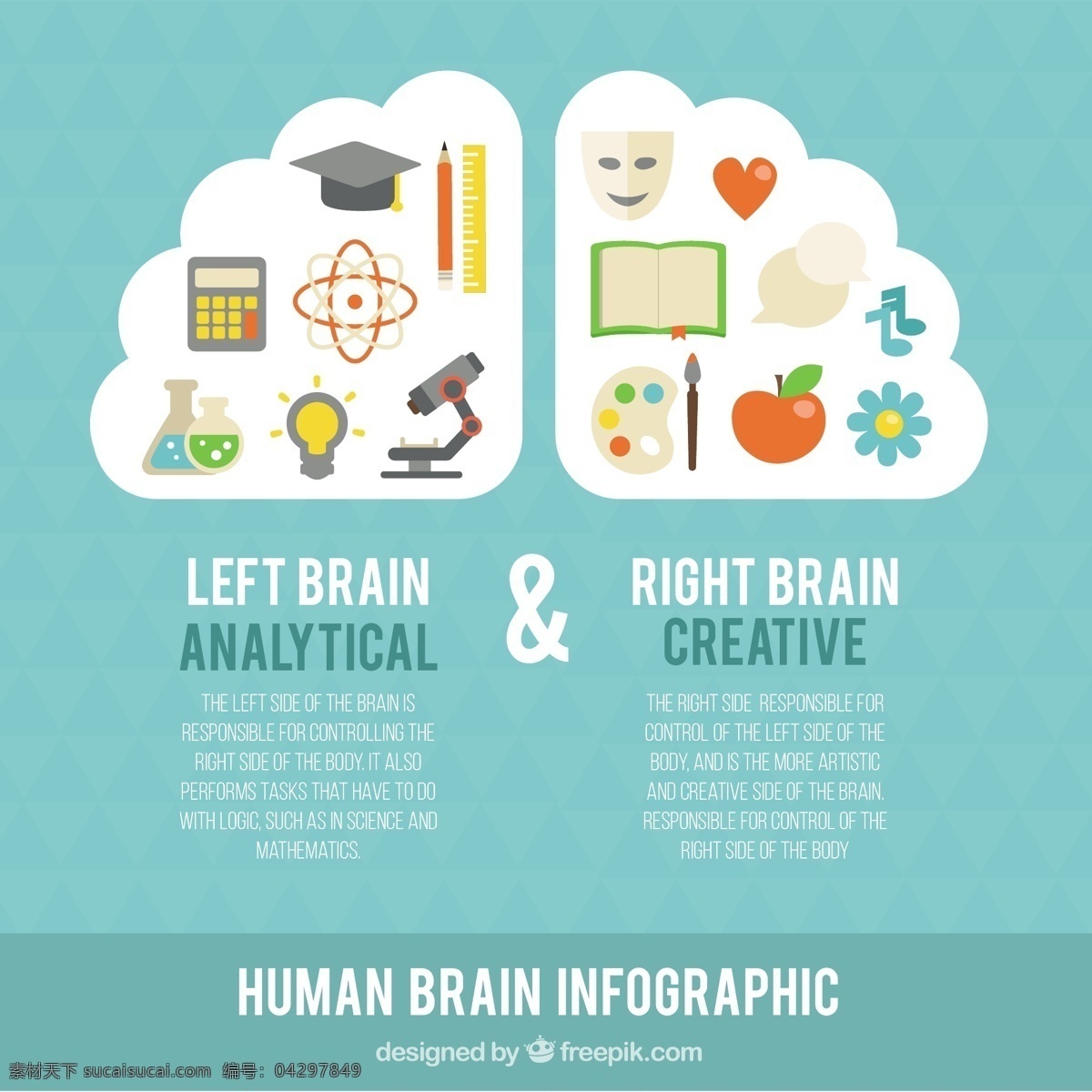 图表 人脑 丰富多彩 物品 模板 脑 营销 科学 丰富多彩的 人类的 平坦的 创造性 过程 中 信息图表模板 数据 信息 平面设计 图形 知识