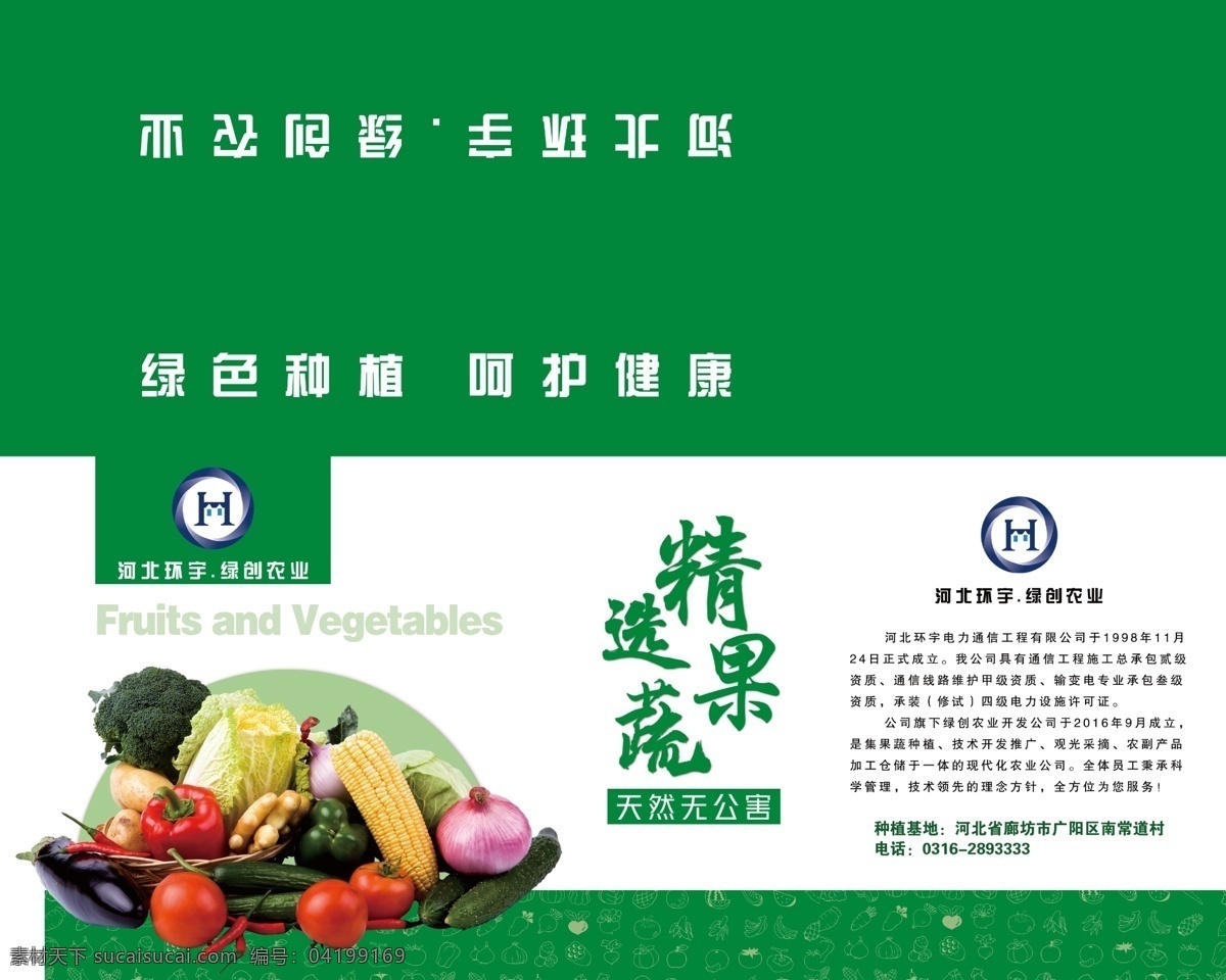 精选果蔬图片 包装 蔬菜 水果 绿色 健康 分层