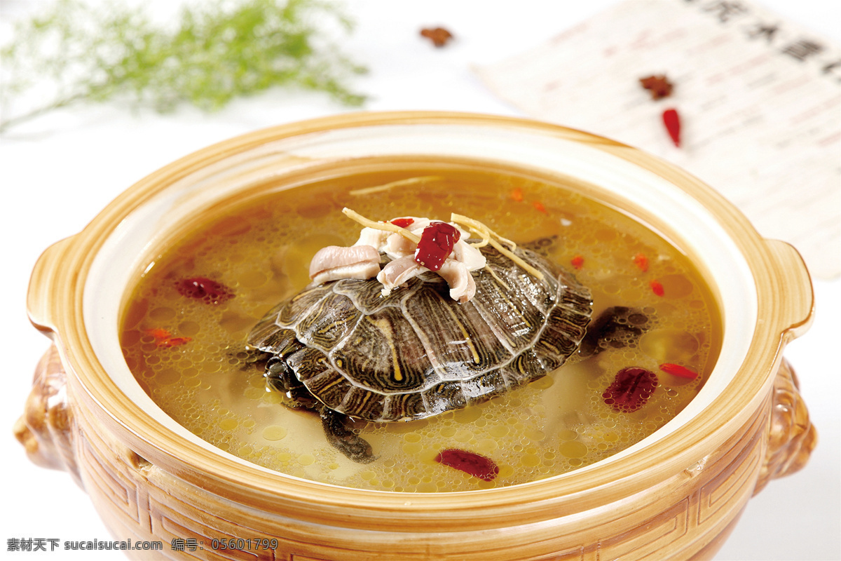 鳄鱼龟炖猪肚 美食 传统美食 餐饮美食 高清菜谱用图