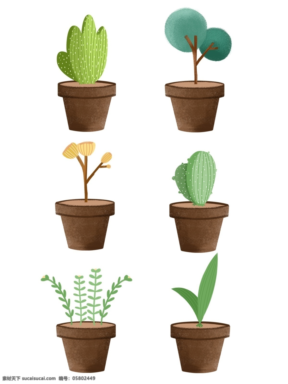 绿色植物 花盆 盆栽 绿色 植物 元素