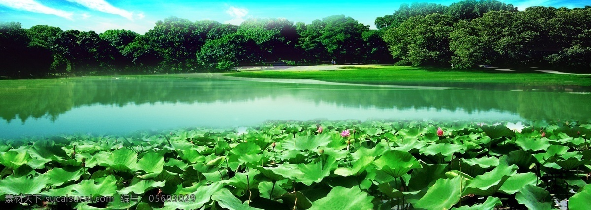 荷塘 春色 分层 模板 荷花 湖泊 树林图片素材 免费 风光 psdpsd 家居装饰素材 山水风景画