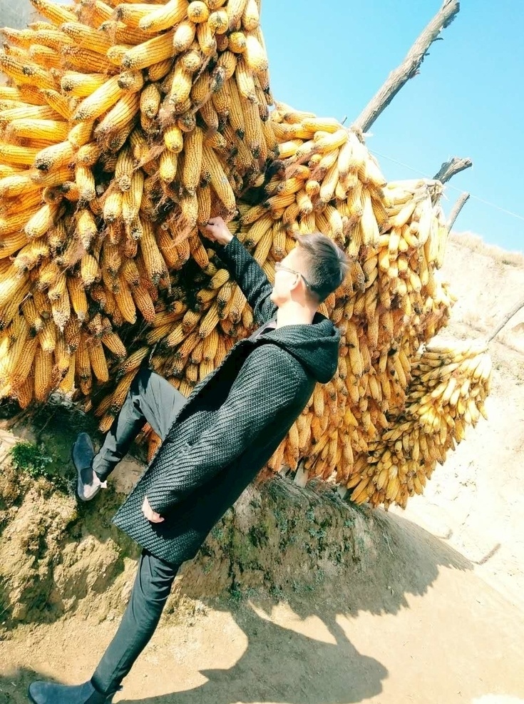 程强写真 程强 个人 甘肃 甘谷 玉米 旅游摄影 国内旅游