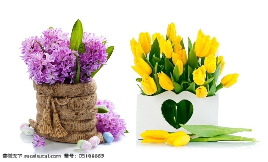 鲜花 郁金香 花朵 复活节 礼物 绿叶 叶子 花束 花草 生物世界