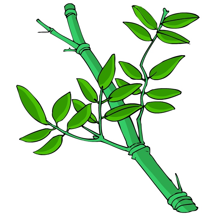 树木古典插画 植物插画 矢量素材 设计素材 矢量植物 矢量图库 白色