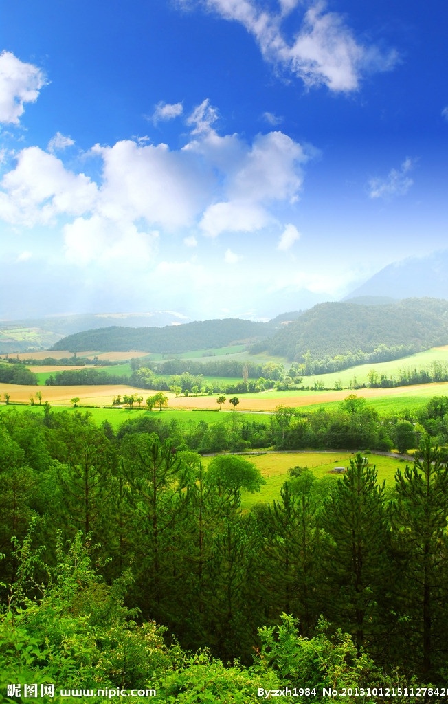 绿色 大自然 风景 树木 山脉 天空 白云 杉树 田地 麦子 清新 环保 和谐 山水风景 自然景观